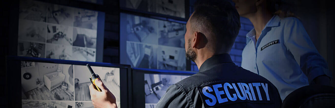 Los Angeles SFV Virtual Security Guard Company